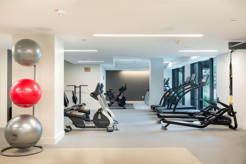 One snowmass fitness over 2500 sq. ft. Peloton, treadmills, elypticals, etc..